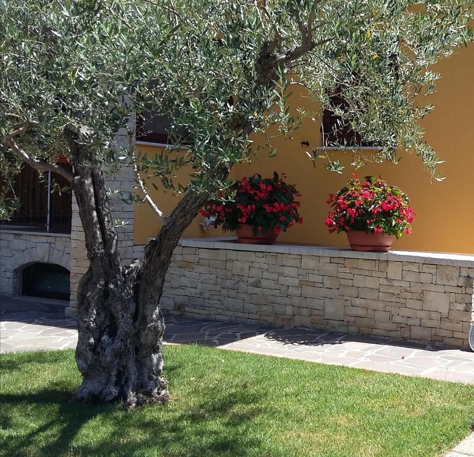 Studio Apartments Pinia-Marina Porec Bagian luar foto